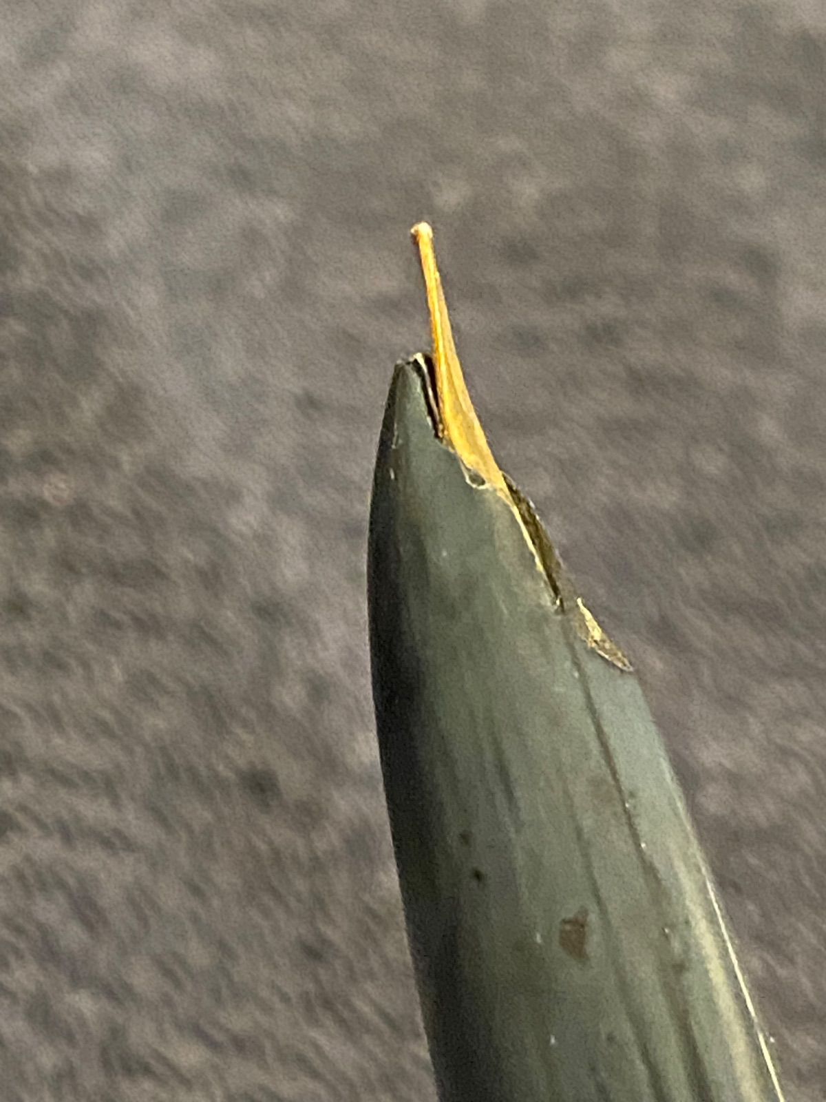 ケース付き 万年筆