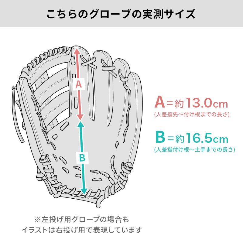 【クリーニング済み (高校野球対応)】 シュアプレイ 硬式グローブ / 内野手用 型付け済み ( グラブ)[WE1013]