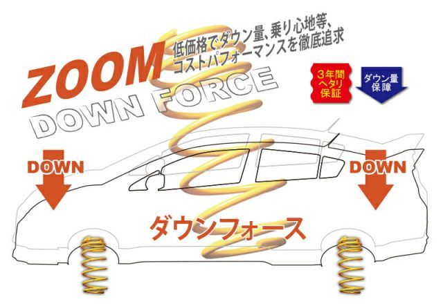 [ZOOM]8Z16FSI アウディA2(1.6 FSI)用ダウンサス
