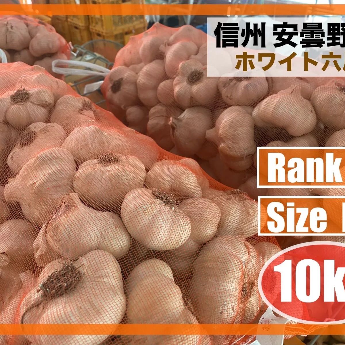 ⬛️にんにく⬛️10 kg ⬛️ サイズM ⬛️Dランク⬛️ホワイト六