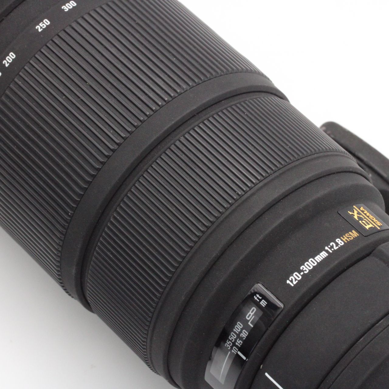 Sigma APO 120-300ｍｍ F2.8 EX DG Nikon Fマウント #2368 - ホーク