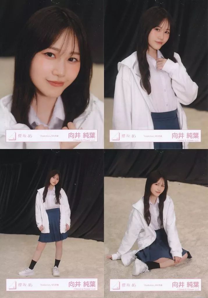 中古】生写真(乃木坂46) ◇櫻坂46/向井純葉/櫻坂46ランダム生