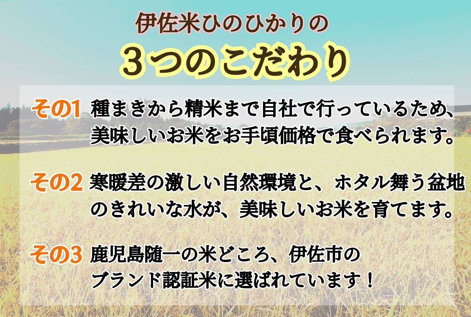 sai-dc.com - ホタル舞う熊本産お米25kg 価格比較