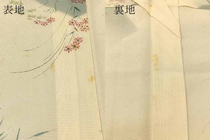 平和屋着物＊夏物 小紋 絽 手描き 秋草文 正絹 逸品 未使用