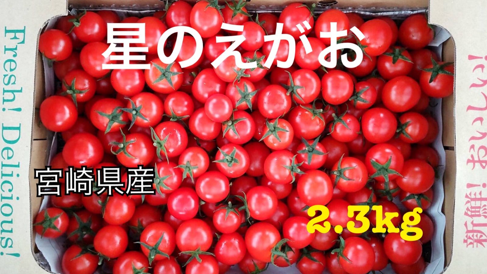 tomato様専用-