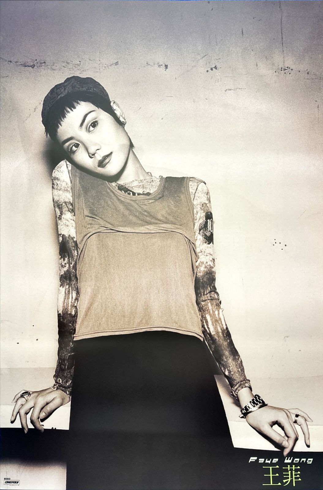 フェイ ウォン|王菲