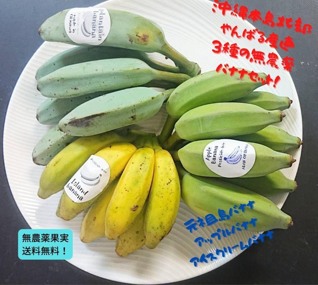 絶品 沖縄本島産 ナムワバナナと旬のパッションフルーツセット！ 注目ショップ・ブランドのギフト - 果物