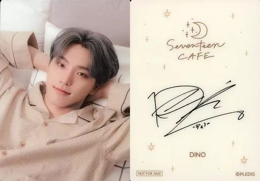 中古】コレクションカード(男性) SEVENTEEN/DINO(ディノ)/裏面印刷