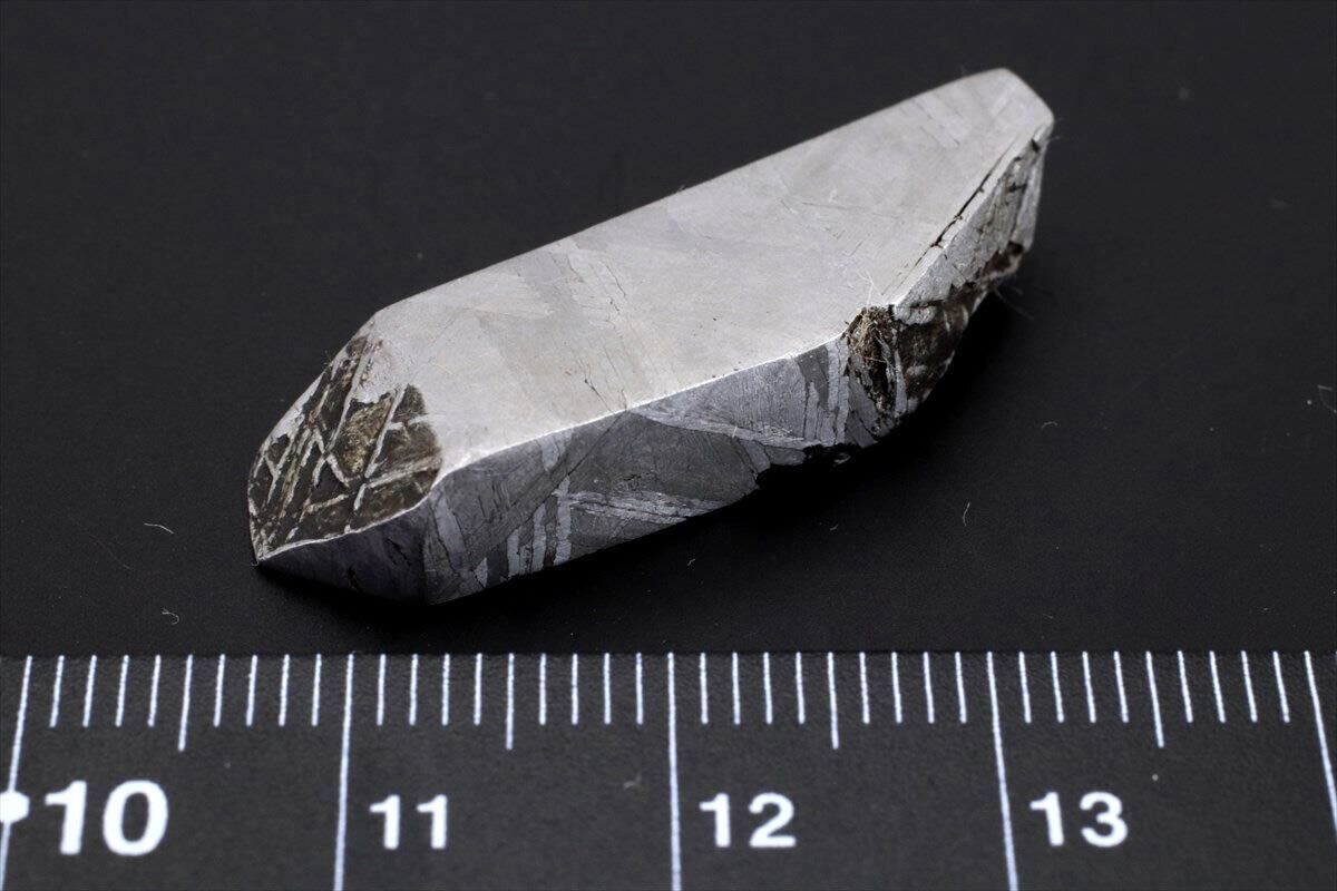 ムオニナルスタ ムオニオナルスタ 10g スライス カット 標本 隕石