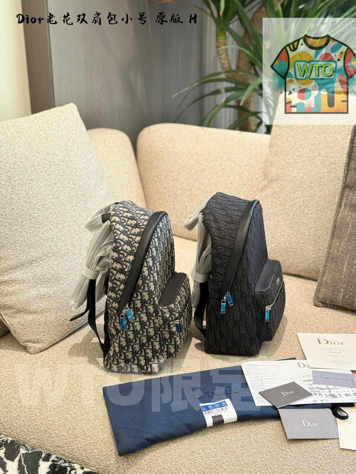 N2575 ディオール ディオールトラベル オブリーク リュック バック