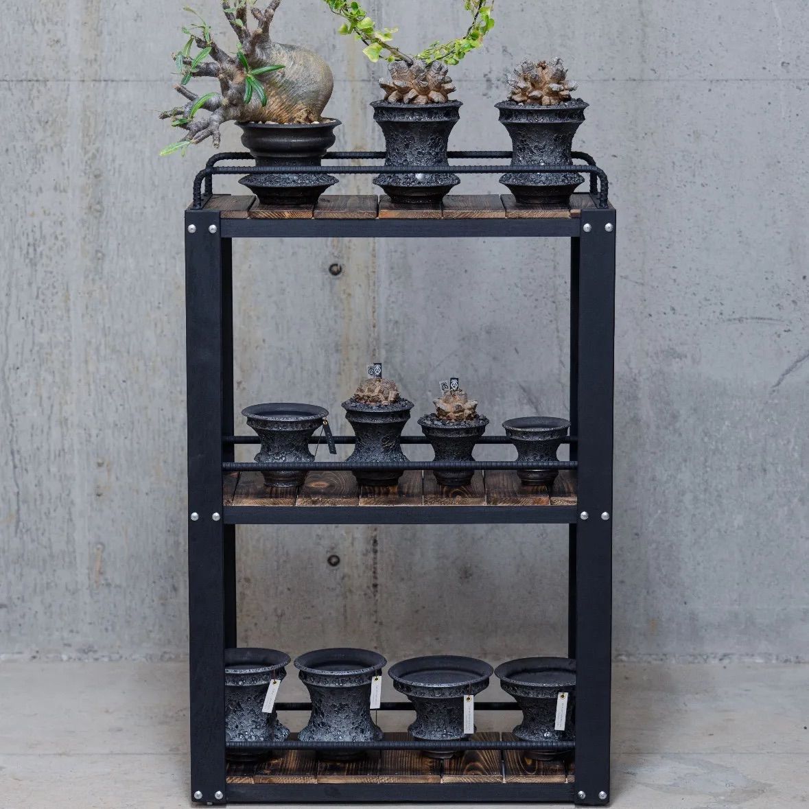 kuroyagiさん　オーダー品　植物棚 kuroyagiさん オーダー品 植物棚 公式 TETSUNAGI（テツナギ