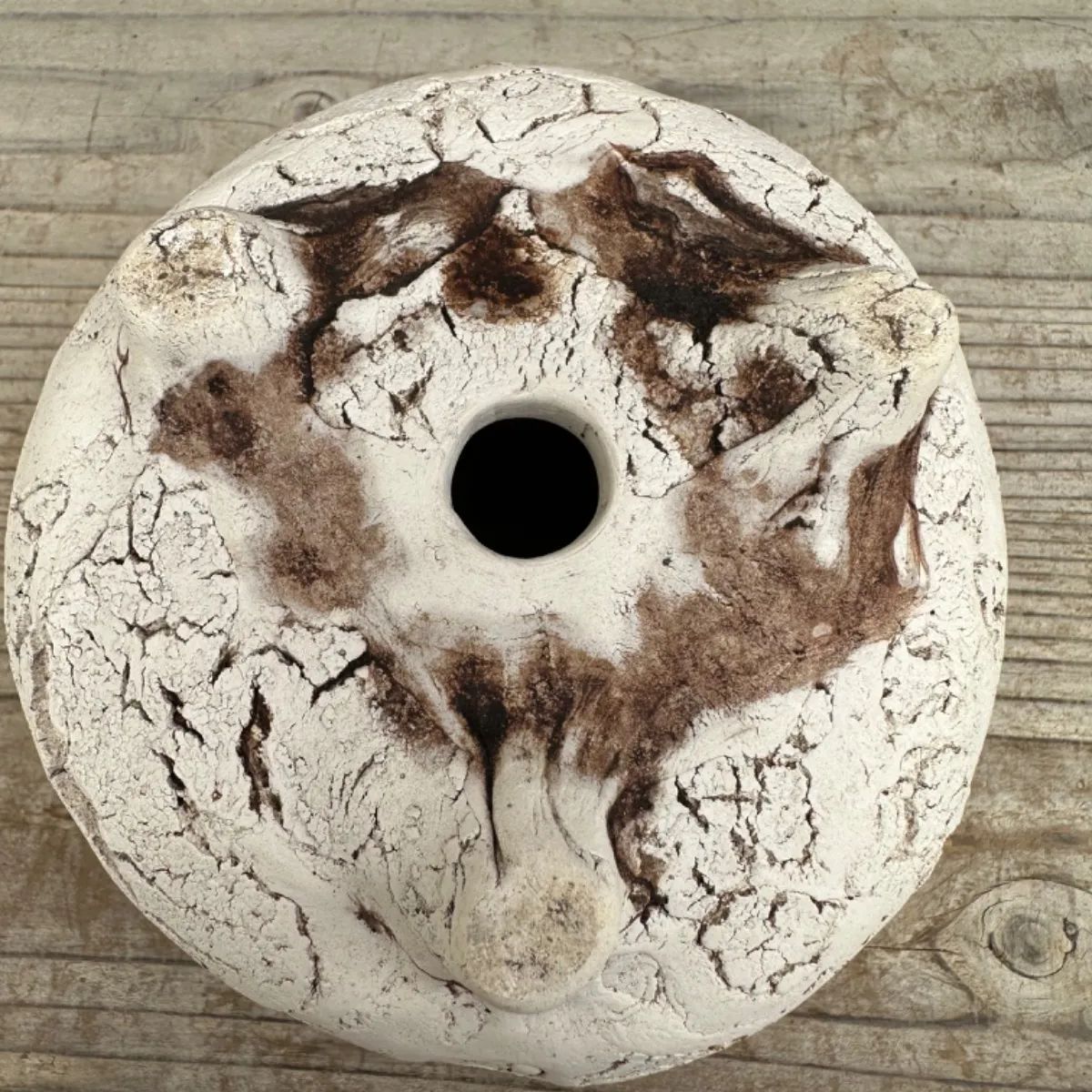 プランツモンスターポット鉢①