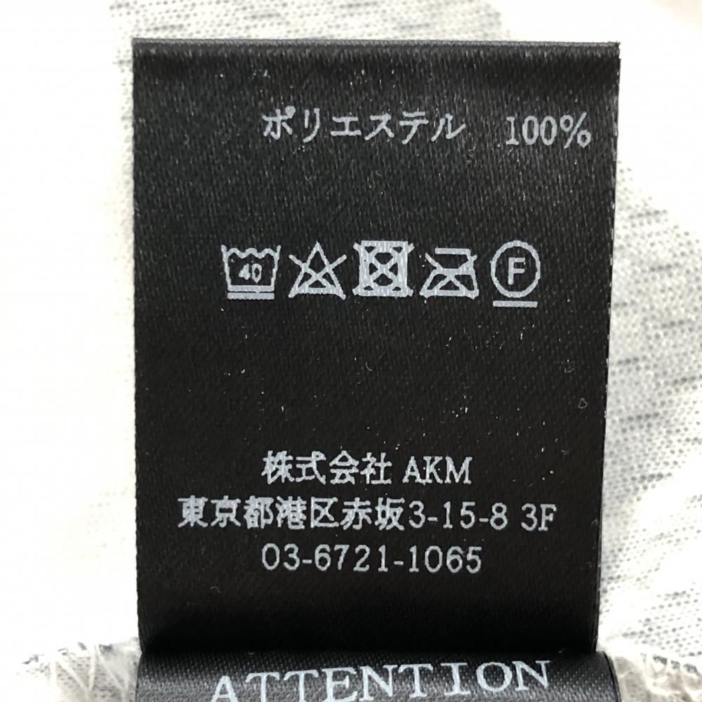 Ⅲ