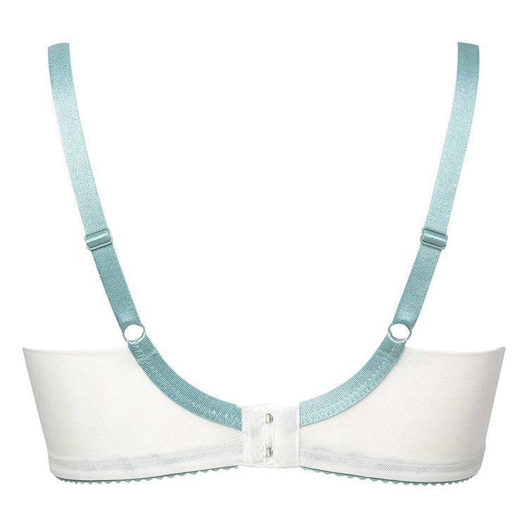 ブラジャー単品