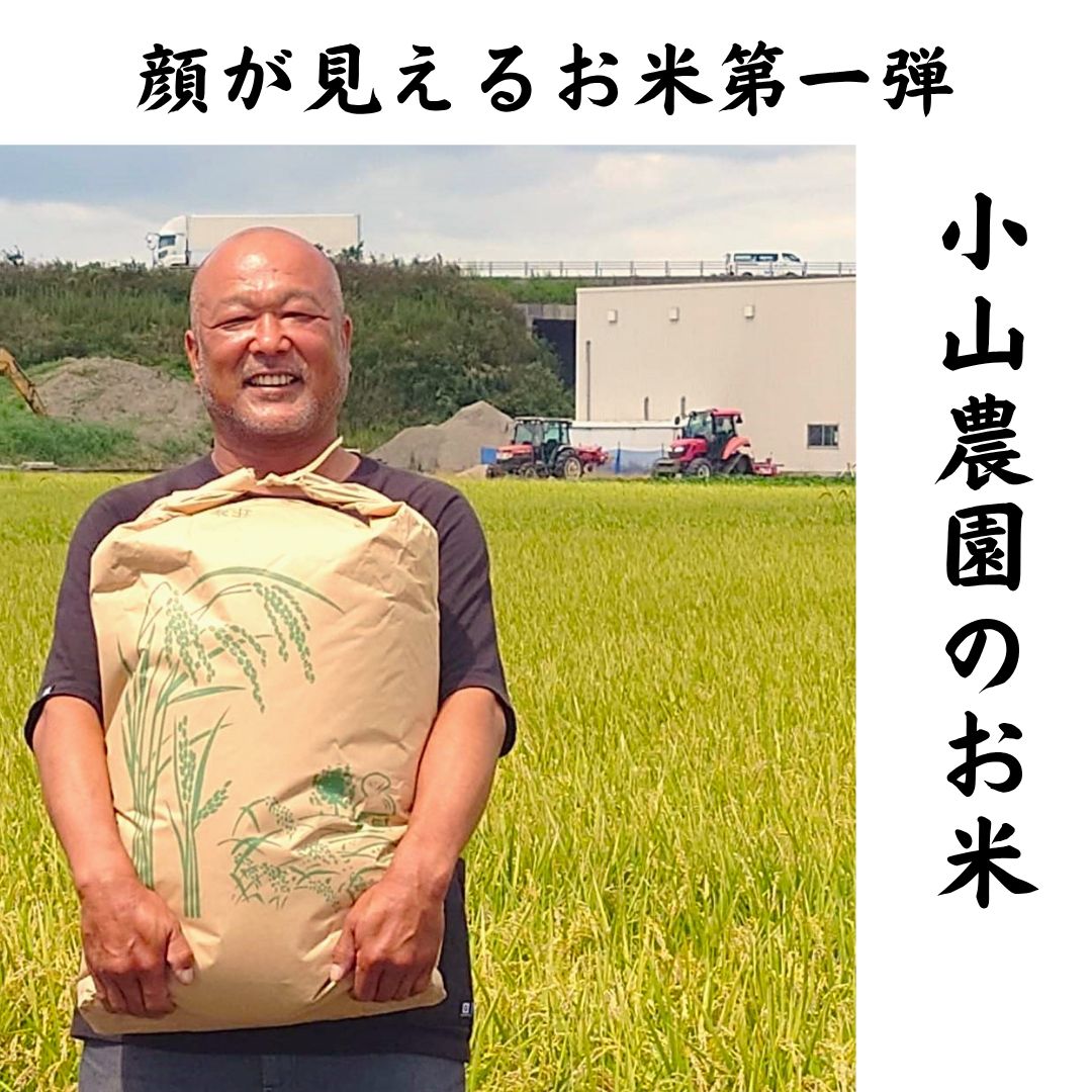 美品 TOCCA トッカ フラワープリント ノースリーブワンピース サイズ2