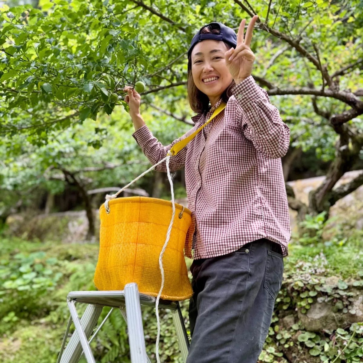 ♠ 和歌山県産