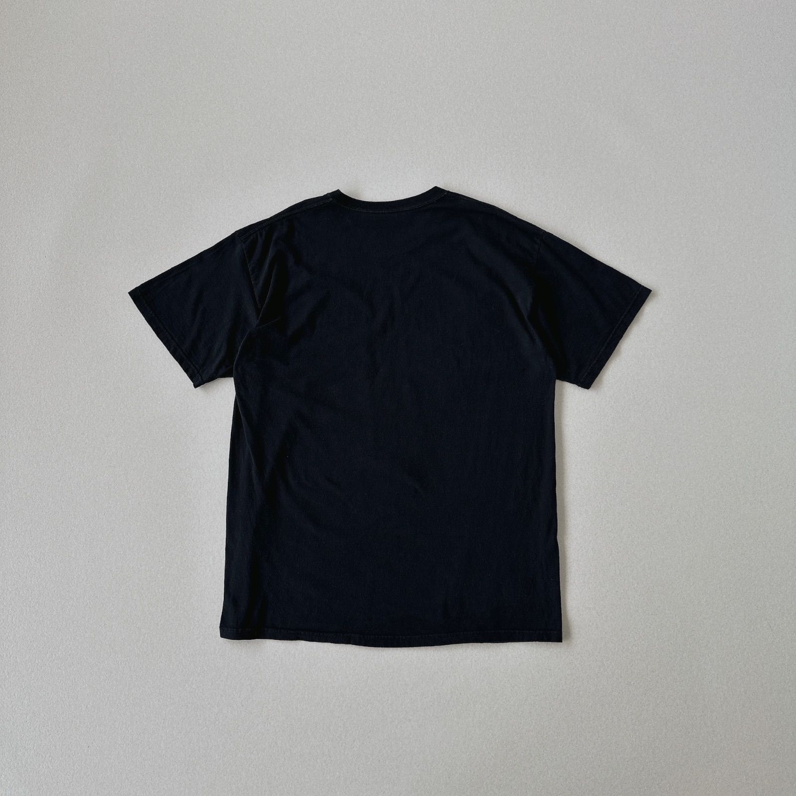 お値下げ！ディズニー　ワンマンドリームll　Ｔシャツ２枚セット ディズニーランド 限定 ワンマンズドリームⅡ Tシャツ 新品