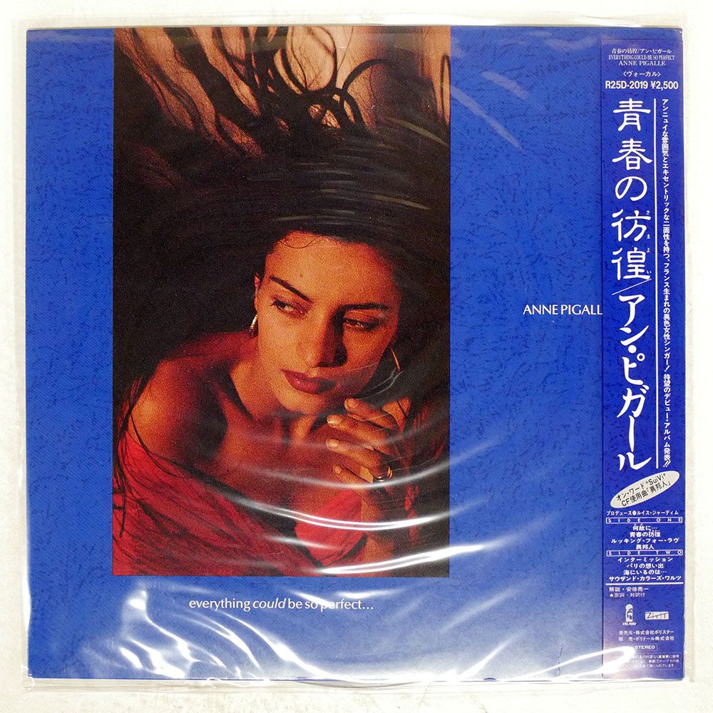 【貴重 レア 未使用 未開封】LP バンコ ファースト 変形 ジャケット 紙ジャケ 国内盤 パンタ&HAL/TKO NIGHT LIGHT/FLYING DOG