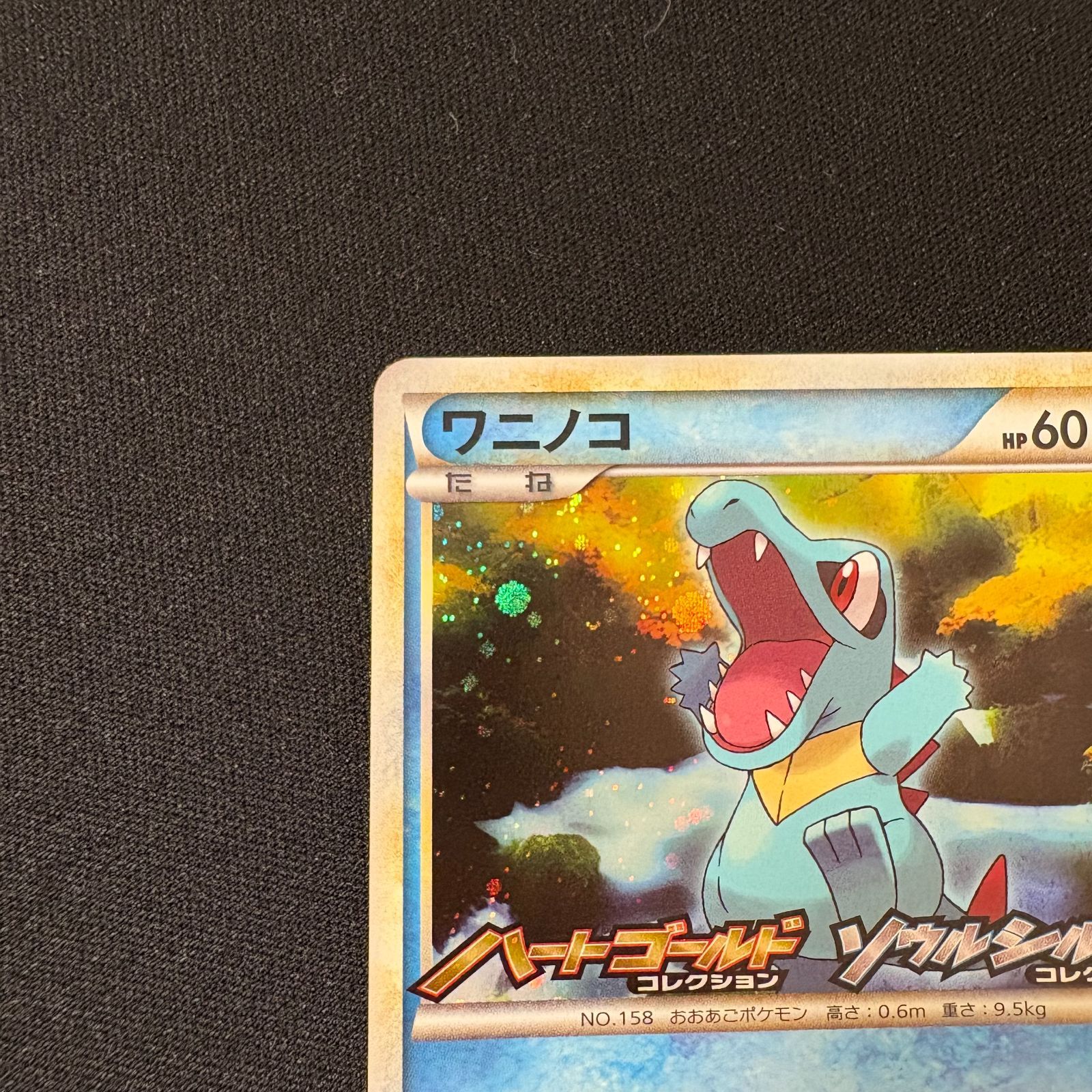 ワニノコ　ポケモンカード　ハートゴールド ソウルシルバー　発売記念カード　プロモ ワニノコ ハートゴールド ソウルシルバー 発売記念カード プロモ