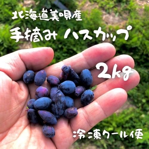 2025年度】北海道 美唄産 冷凍ハスカップ 2kg