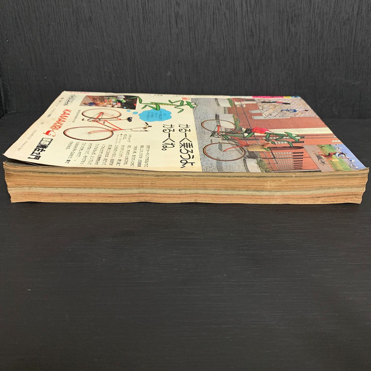 少年ジャンプ1981年48号 巻頭カラーひばりくん！江口寿史 表紙Dr