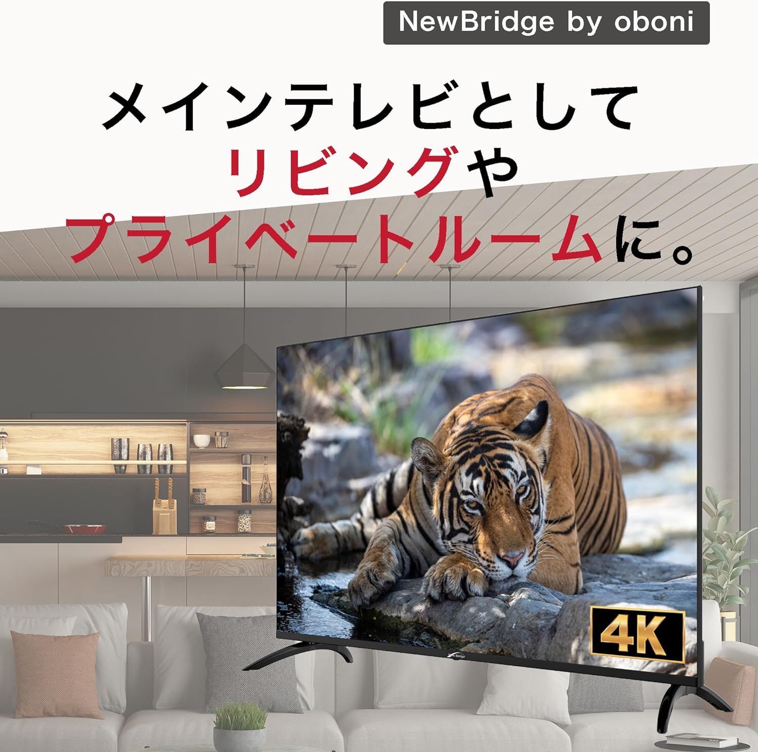 地上波もネット動画も視聴