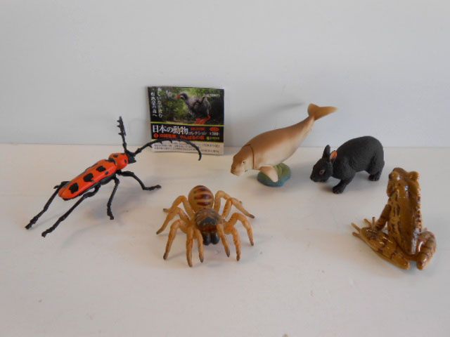 カプセルQミュージアム 日本の動物コレクション2 沖縄奄美