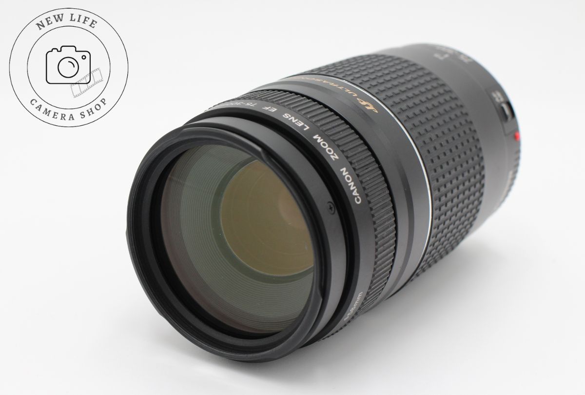 ☆シンビジューム☆エンゼルナースユキ'フユノソナタ'☆アーチ型☆陶器