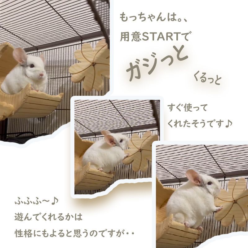 10cm】くるくる回る 花 齧り木 回して遊ぶ 恋ルー 木製 チンチラ