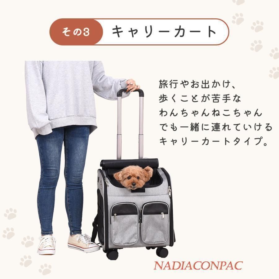 小型犬