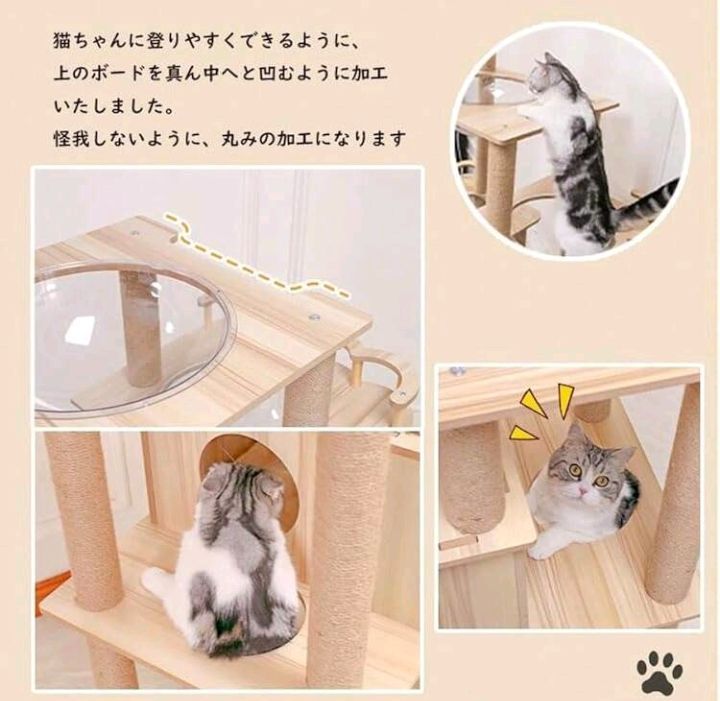 安定 運動不足解消