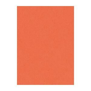 文運堂 ニュー Ｒ 10 213 だいだい