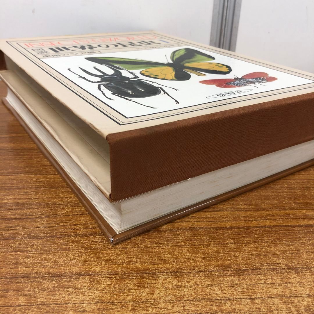 ▲01)【同梱不可】図説世界の昆虫 1/東南アジア編 1/阪口浩平/保育社/昭和54年発行/A 01)【同梱不可】図説世界の昆虫 1/東南アジア編 1/阪口浩平/保育