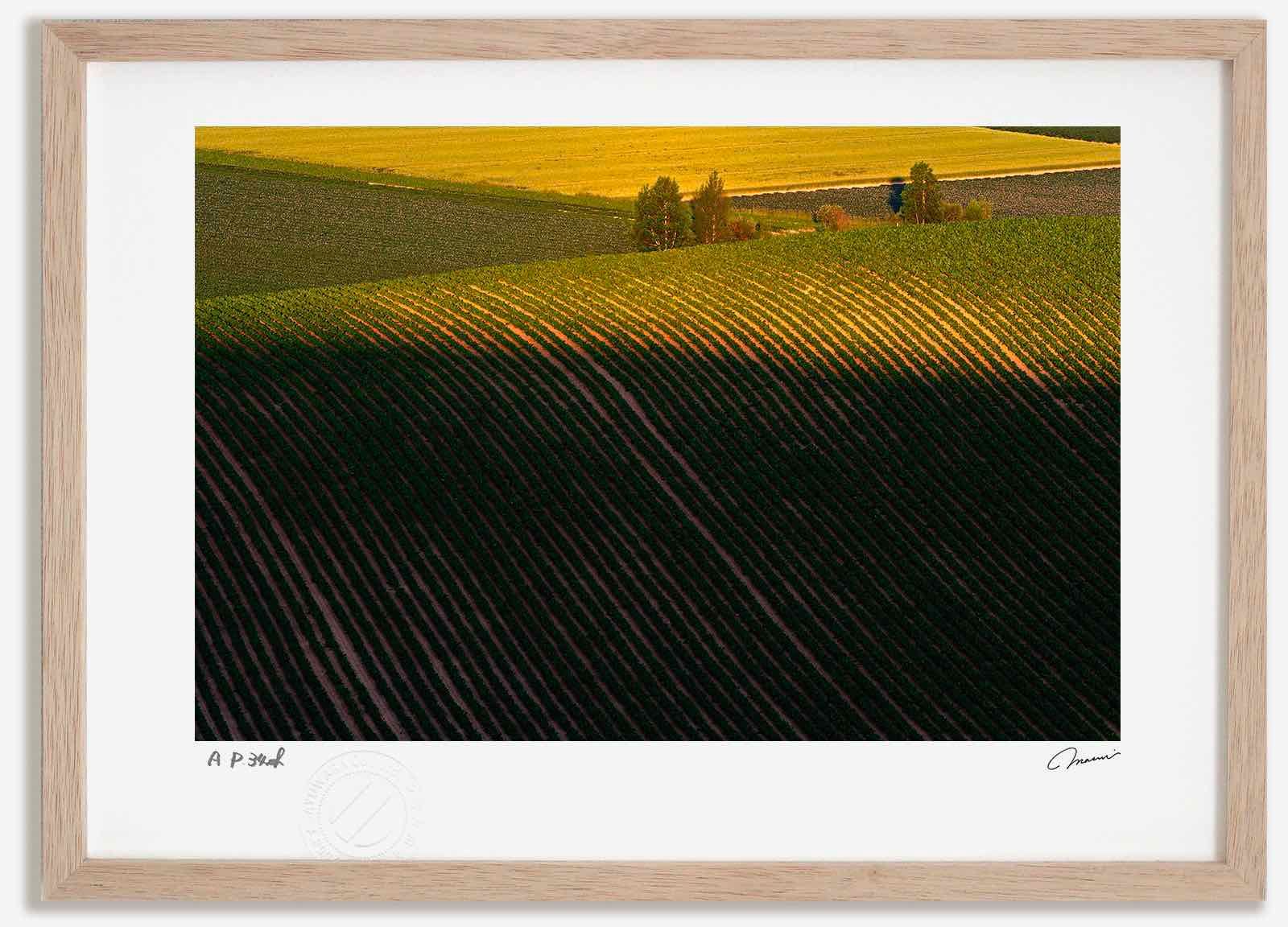 さをり 手織機 かささぎ60BX ・新ワインダー かわせみII