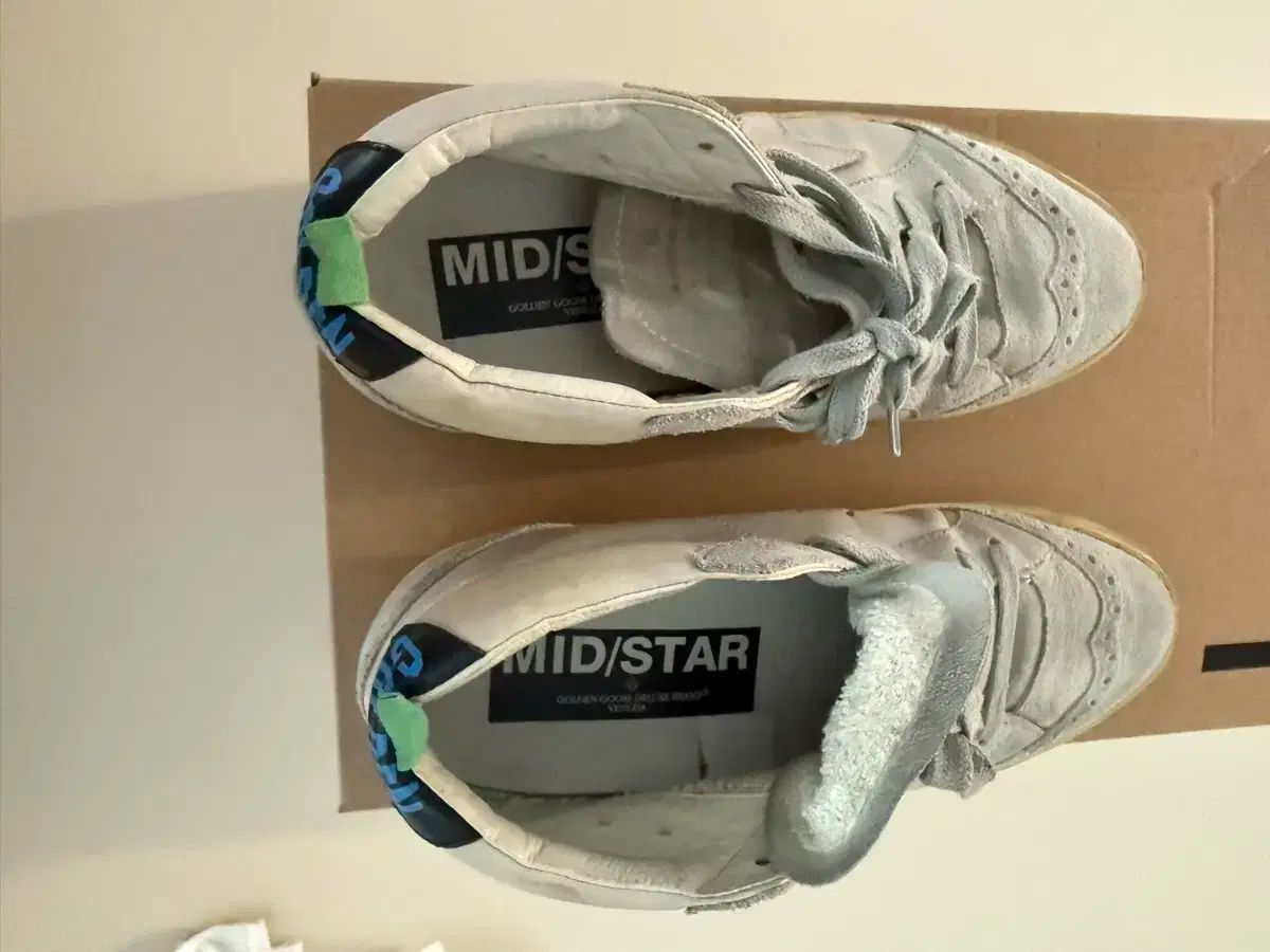 ゴールデングース レディース