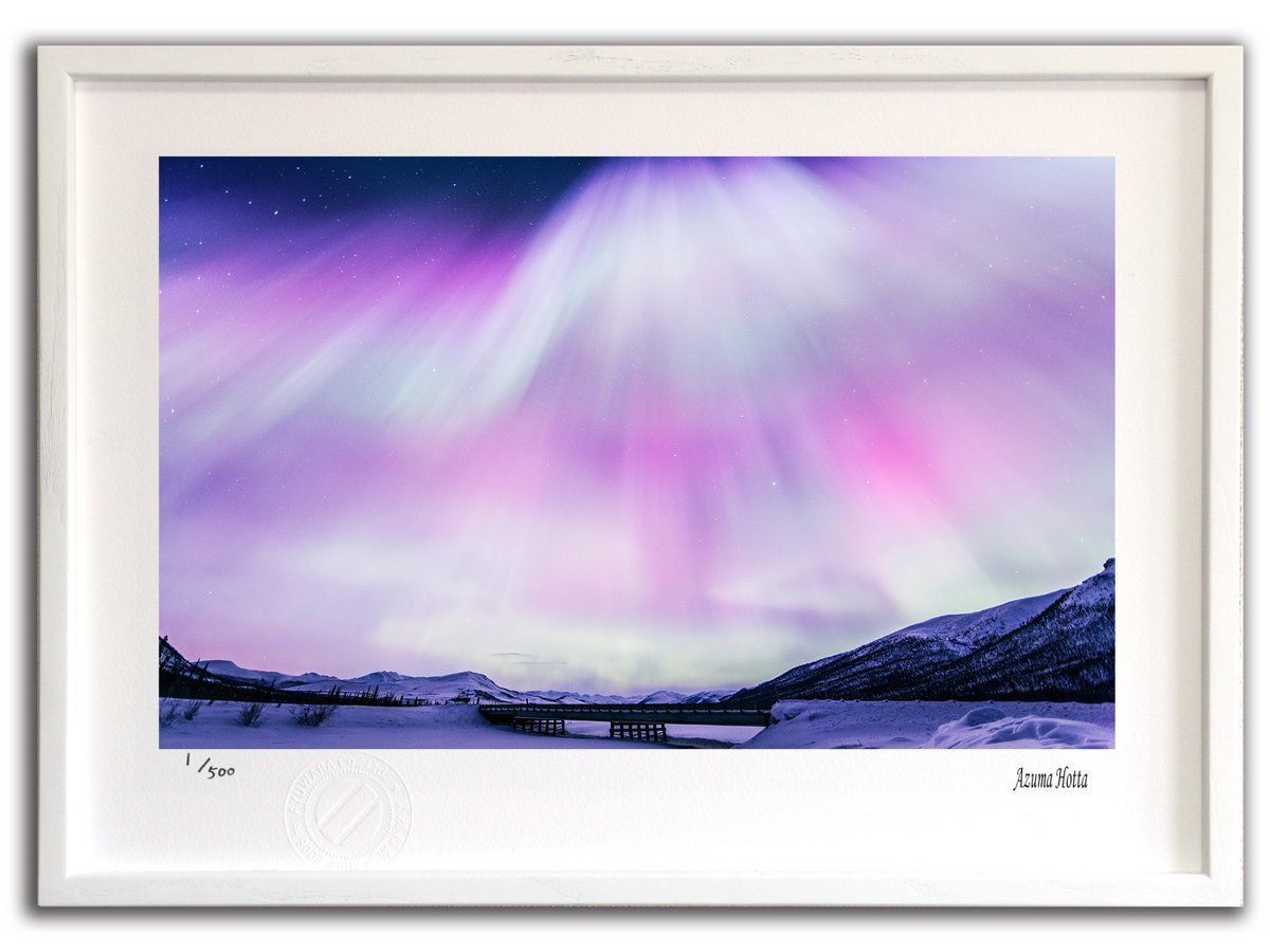 補充注文カード アンケートはがき付き 原色怪獣怪人大百科