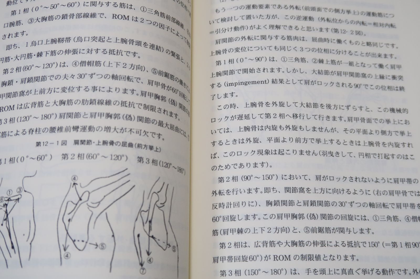 補完・弓道三昧・からだが心を拓く・守破離の思想/続弓道三昧・運動 