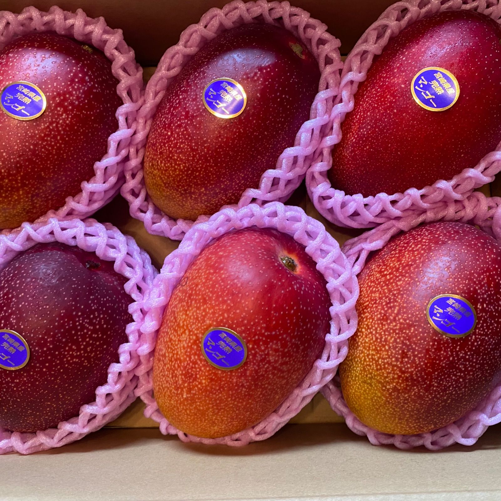 摘果マンゴー Aya 様 専用 【公式通販】