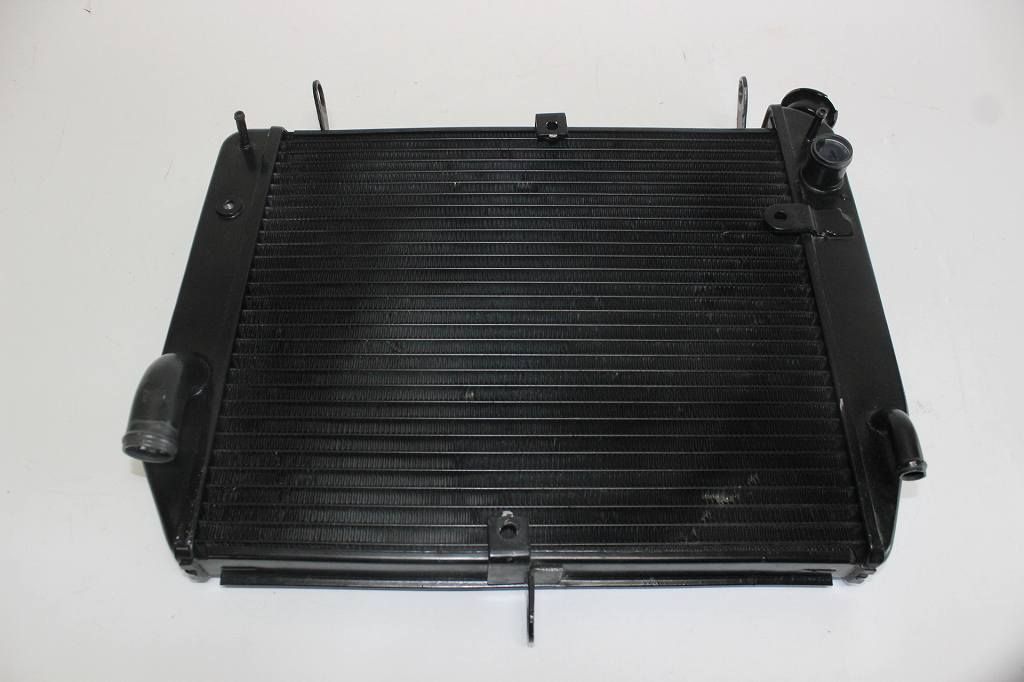 02-03 YAMAHA YZF R1 RADIATOR ENGINE COOLING FAN ASSEMBLY OEM ※訳