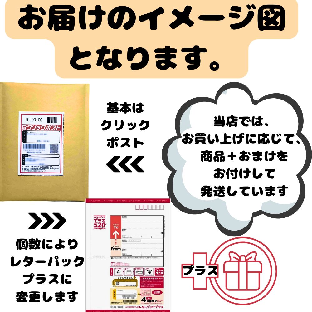 シンジ 「鮭とばそーめん」他、おつまみ珍味セット 激安 限定 北海道産 おいしい 鮭とばそーめん 鮭トバ おつまみ