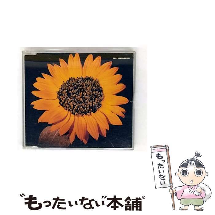 ひまわり hanahirobaonline_tanex-0139