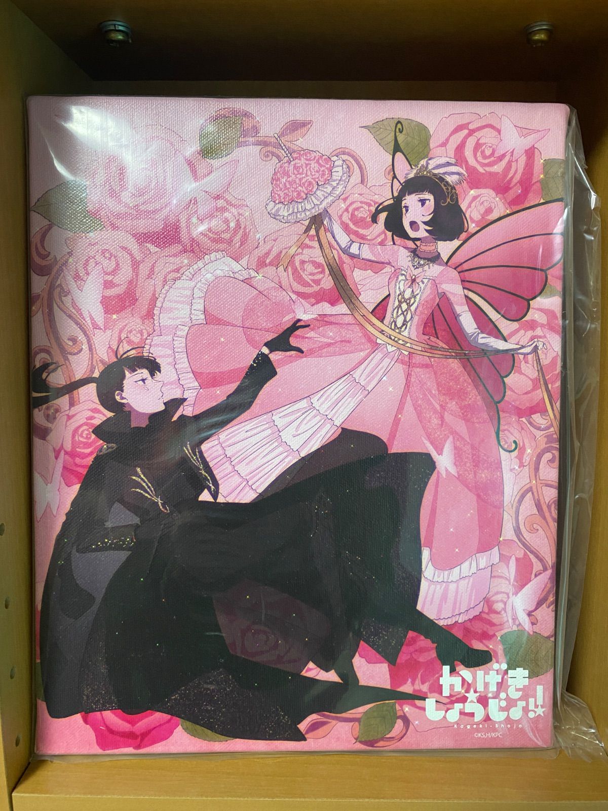 杉本紗和×山田彩子 キャンバスアート DMMスクラッチ! かげきしょうじょ