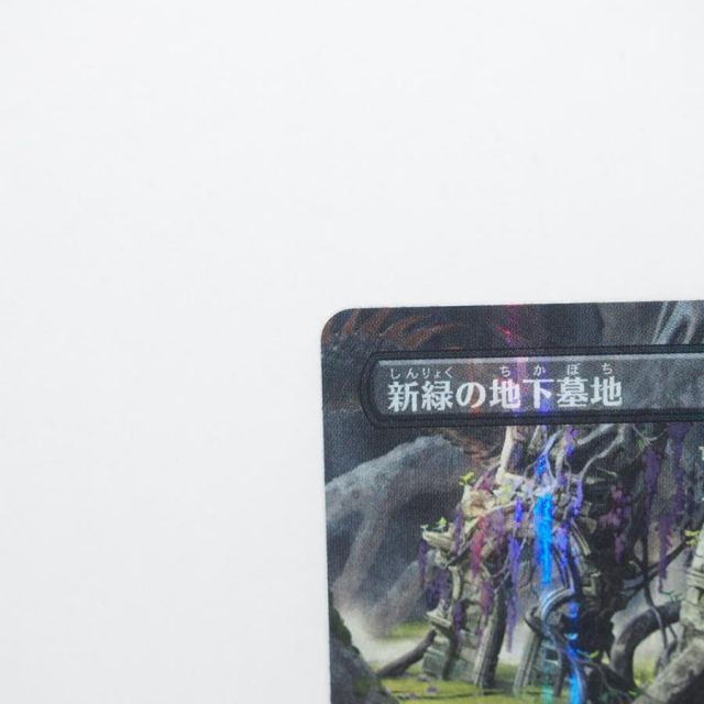MAGIC The Gathering MTG 新緑の地下墓地 M 0118 SPG☆JP