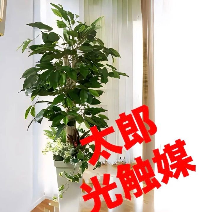 光触媒 人工観葉植物 ウォールグリーン フェイクグリーン スリムパキラ