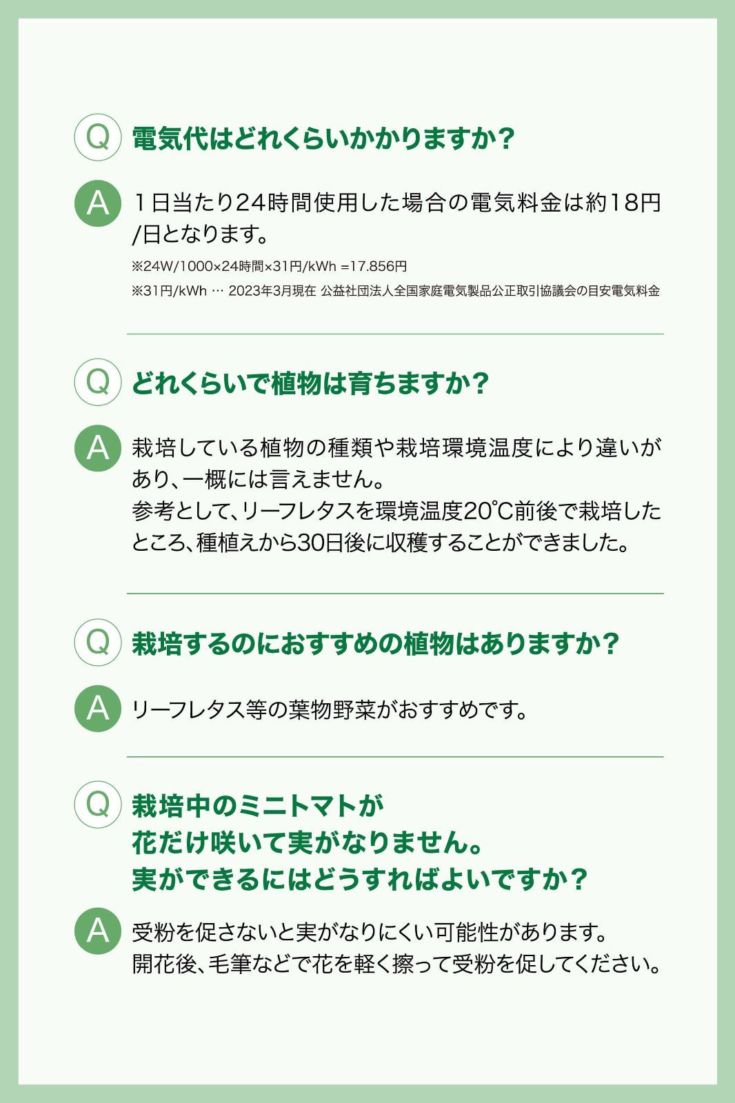 ミント バジル