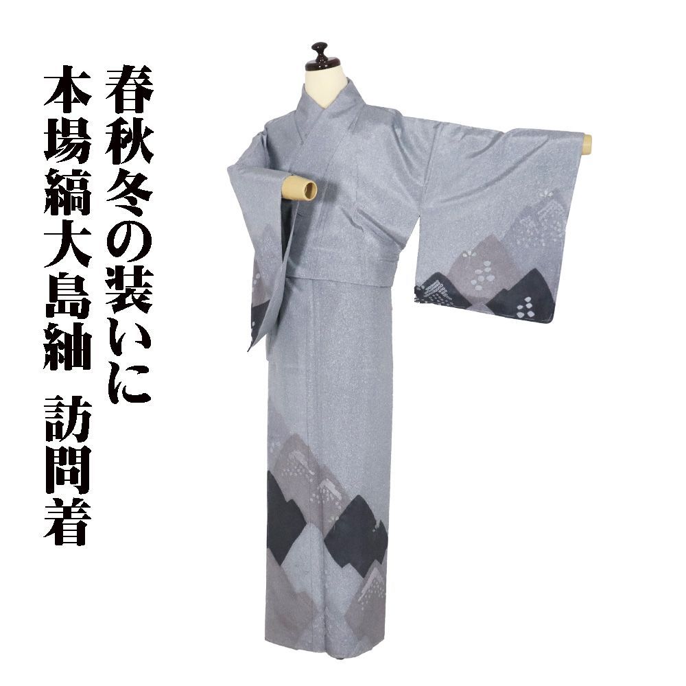 本場縞大島紬 絞り訪問着 袷 正絹 ライトグレー 薄グレー 墨黒 絞り 遠山 鹿の子 箔 南天 Sサイズ ki31097 ♥品 レディース 送料込み