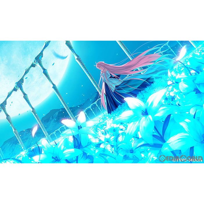 Nintendo Switch スイッチソフト月姫(つきひめ) TSUKIHIME -A piece of