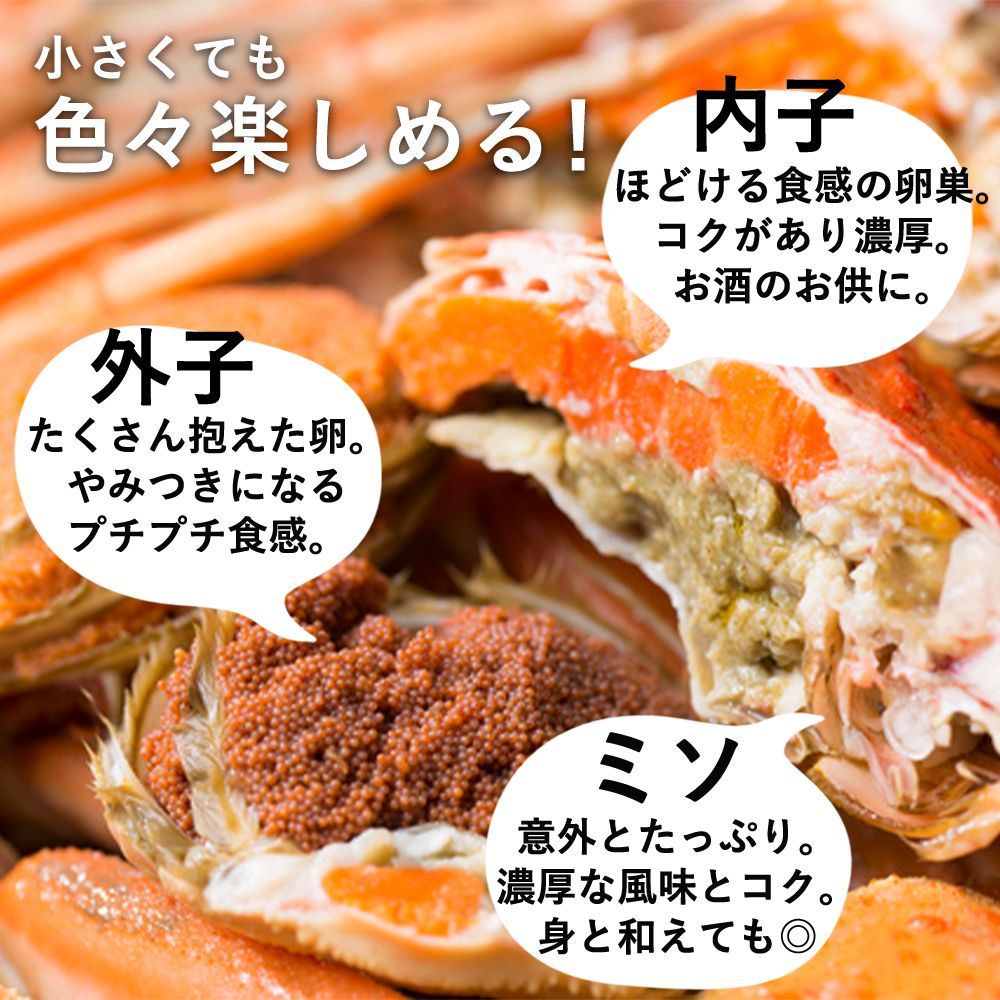 5枚〜8枚程度