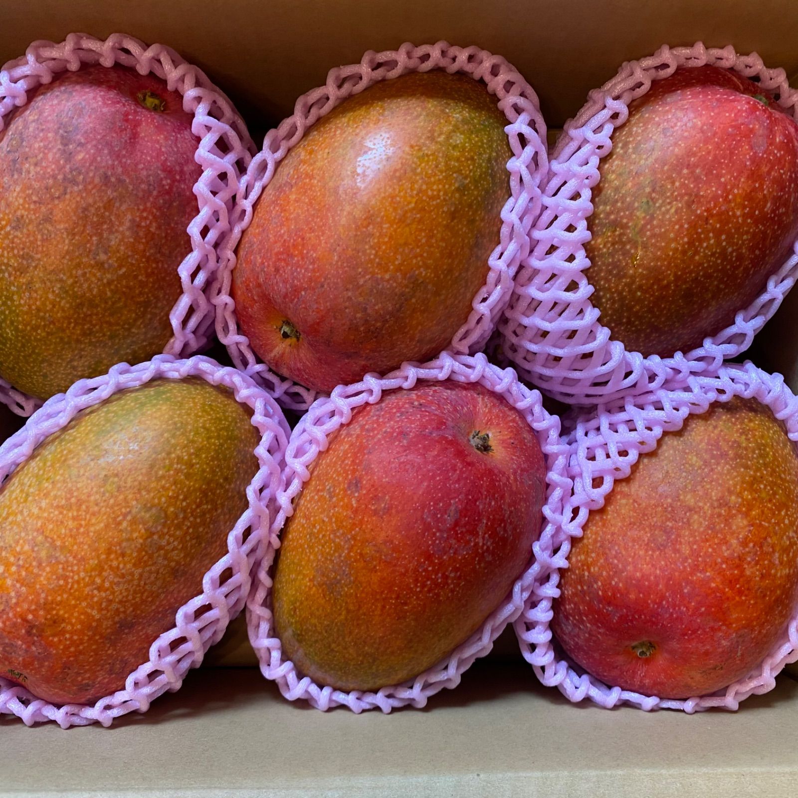 訳あり特大加工用黒点】宮崎完熟マンゴー15玉 10k ※理解ある方のみ※