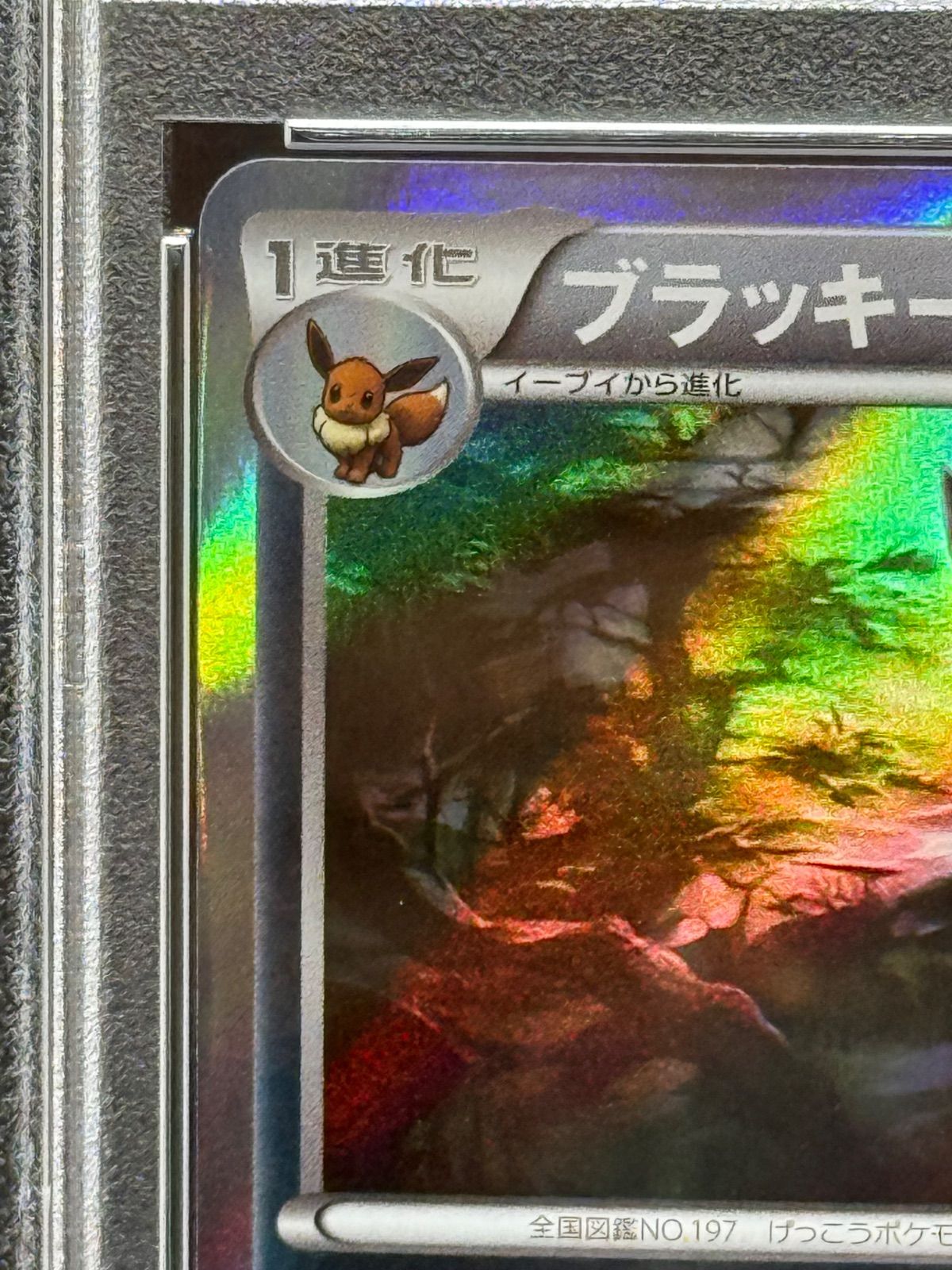 ポケカ　ブラッキー　ナイトバトル　プロモ　PSA10 PSA10】ブラッキー ナイトバトル (プロモ) {140/XY-P